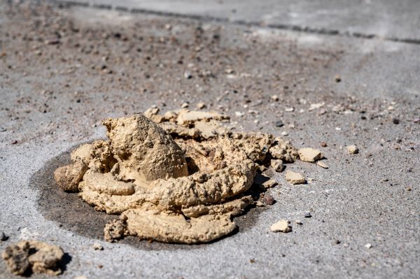 Cost of Driveway Slab Leveling in Cedar Rapids